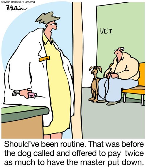 Should've been routine. That was before the dog called and offered to pay  twice as much to have the master put down.