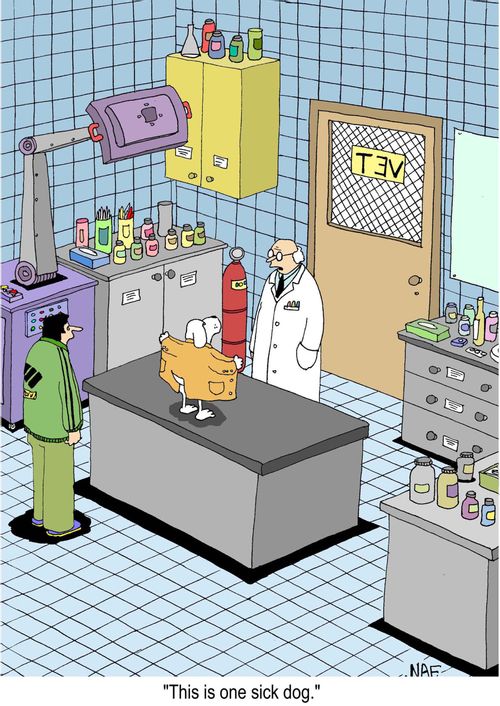 'This is one sick dog.'