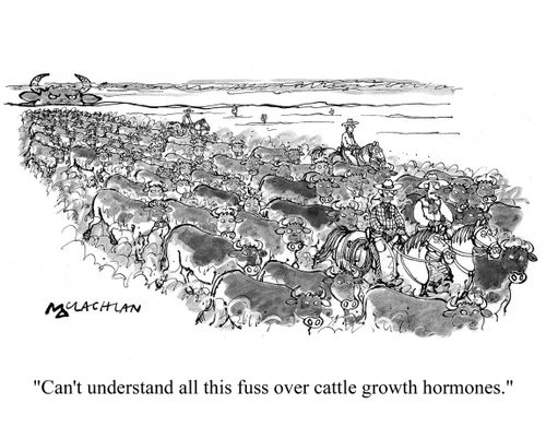 'Can't understand all this fuss over cattle growth hormones.'