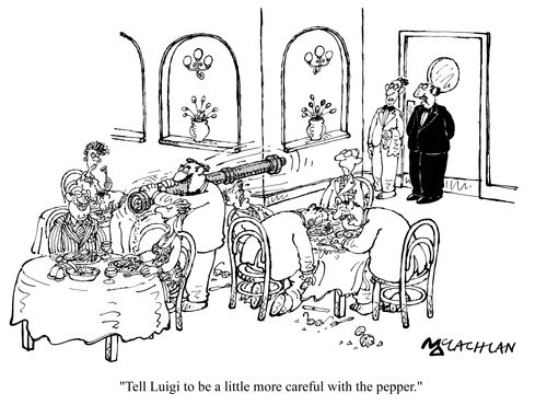 'Tell Luigi to be a lottle more careful with the pepper.'