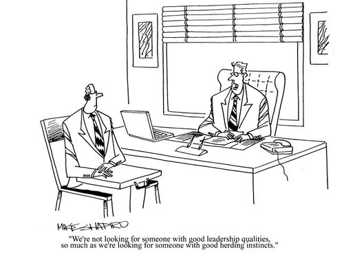 'We're not looking for someone with good leadership qualities so much as we're looking for someone with good herding instincts.'