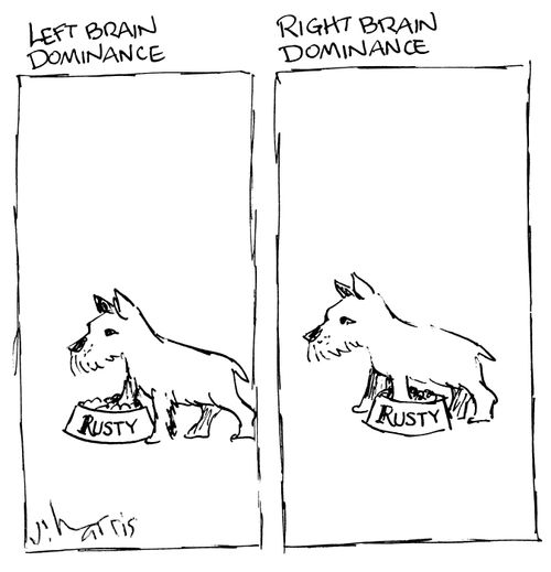 Left brain dominance/Right brain dominance.