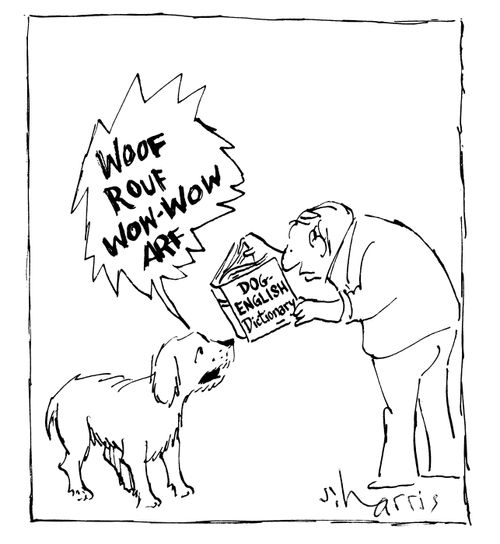Dog-English dictionary.