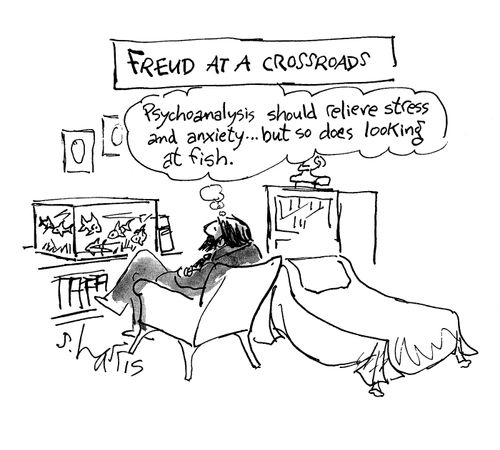 Freud at a crossroads: 'Psychoanalysis should relieve stress and anxiety...but so does looking at fish.'