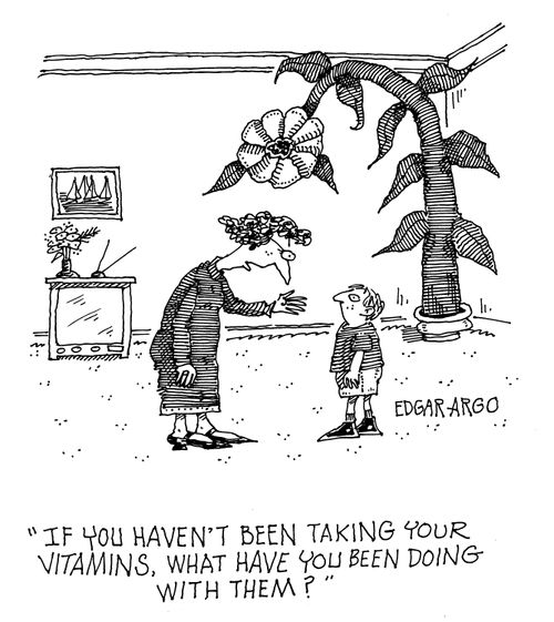 'If you haven't been taking your vitamins. What have you been doing with them?'