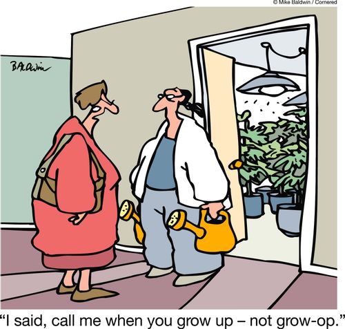 'I said, call me when you grow up - not grow-op.'