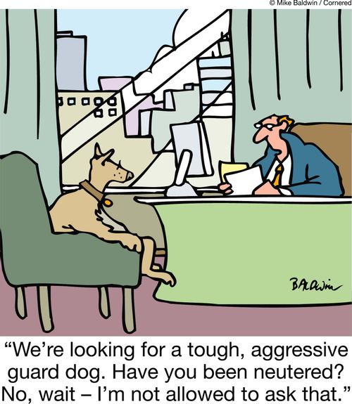 "We're looking for a tough, aggressive guard dog. Have you been neutered? No, wait ??" I'm not allowed to ask that."