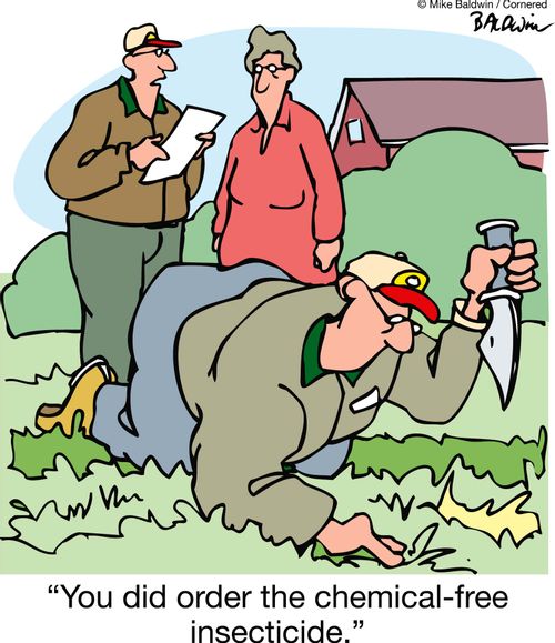 "You did order the chemical-free insecticide."