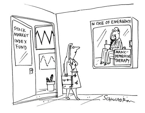 Stock Market Index Fund and In case of Emergency Manic Depressive Therapy.