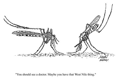 'You should see a doctor. Maybe you have that West Nile thing.'