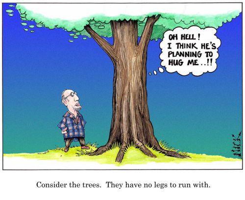 Consider the trees. They have no legs to run with.