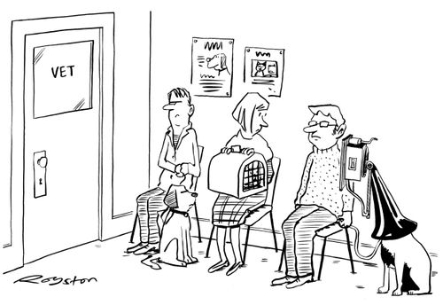 A trip to the vet's.