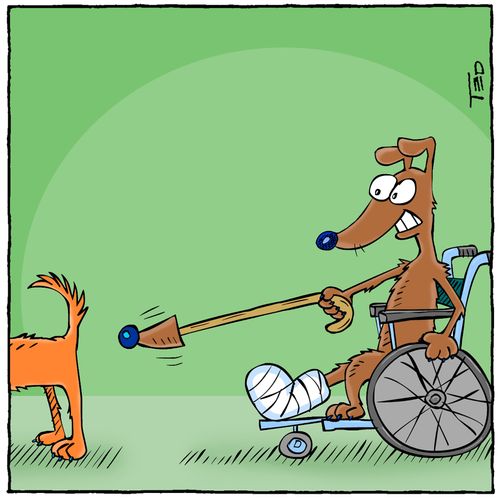 Ambulatory Dog