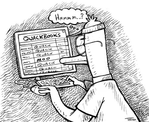 QuackBooks (duck finds a computer error).