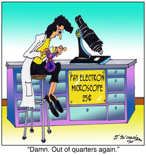 Damn. Out of quarters again for the Pay Electron Microscope.