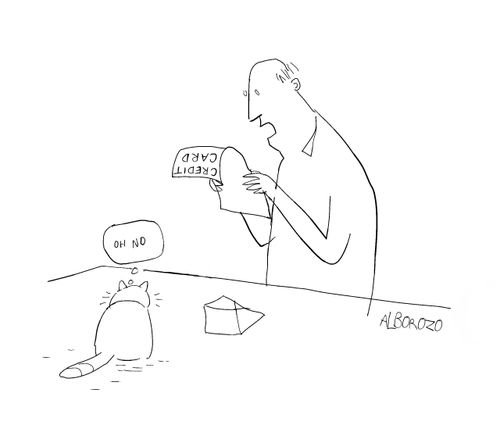 Bad cat - Credit Card.