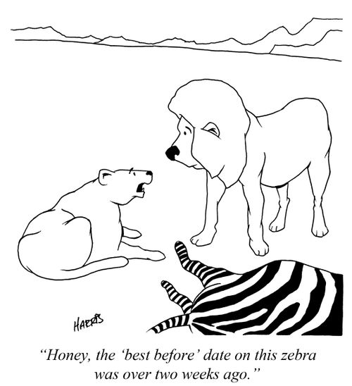 'Honey, the 'best before' date on this zebra was over two weeks ago.'