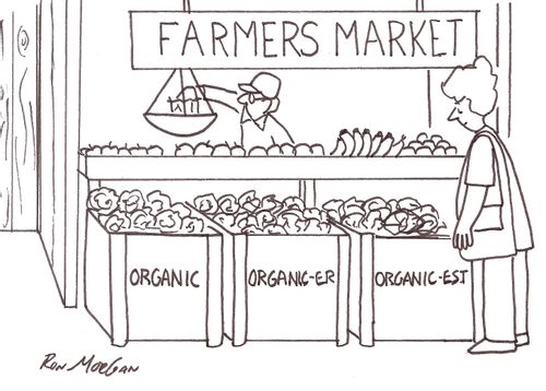 Woman shops at extreme organic market.