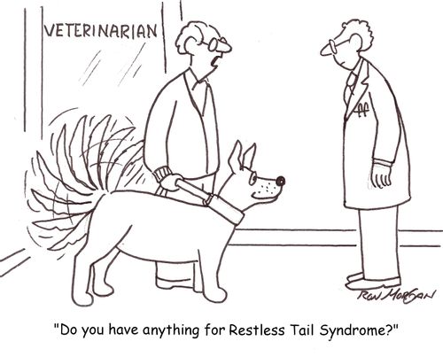 'Do you have anything for Restless Tail Syndrome?'