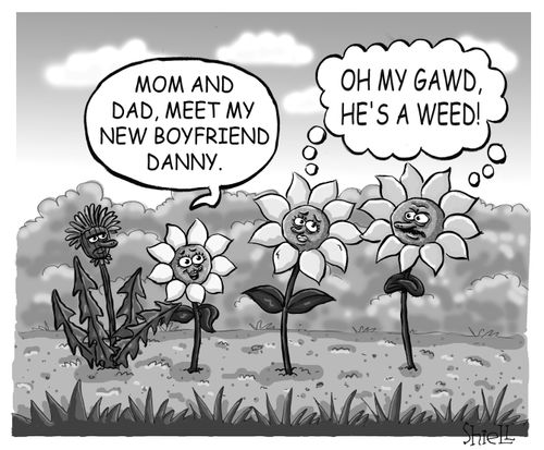 'Oh my Gawd! He's a weed!'