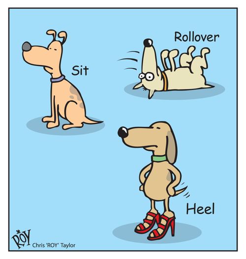 'Sit, Rollover, Heel'