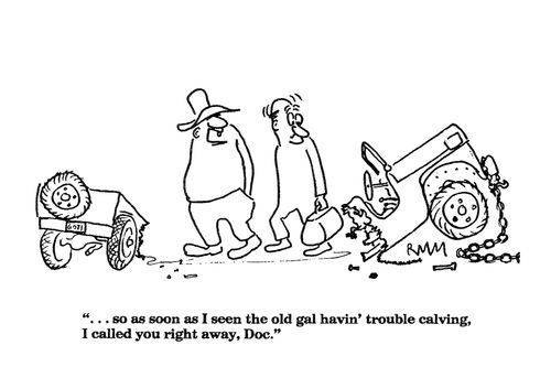 '...so as soon as I seen the old gal havin' trouble calving.;..'