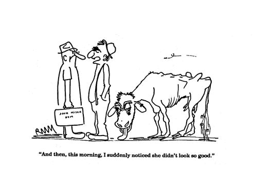'And then, this morning, I suddenly noticed she didn't look so good.'