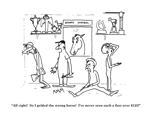 'All right!  So I gelded the wrong horse!...'