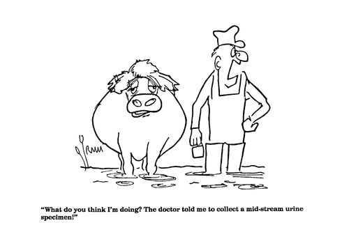 'What do you think I'm doing? The doctor told me to collect a mid stream urine specimen."