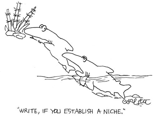 Fish evolving: 'Write, if you establish a niche.'