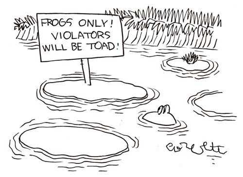 'Frogs only! Violators will be toad!'