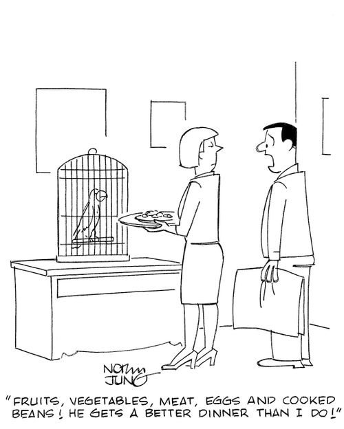 'Fruits, vegetables, meat, eggs and cooked beans! He gets a better dinner than I do!'