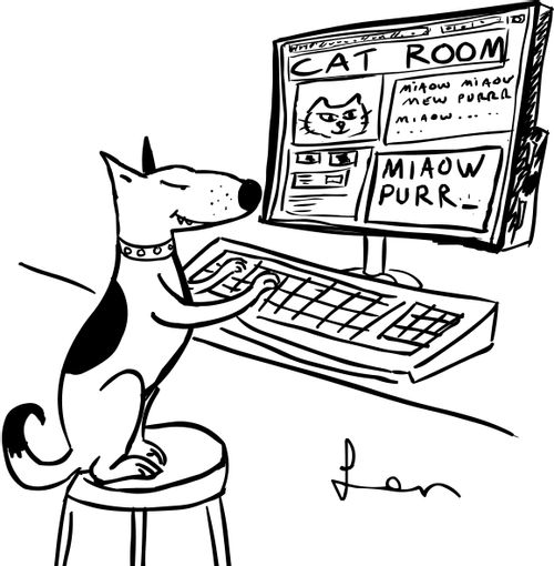 Catroom.