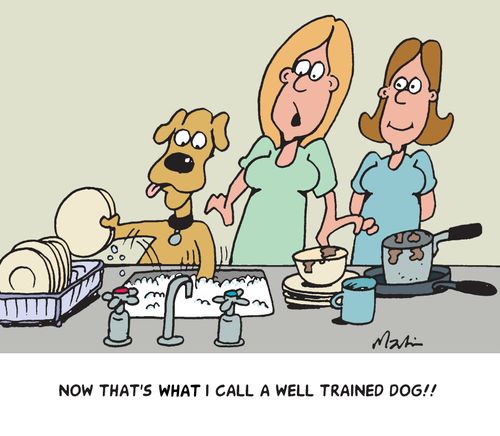 That's what I call a well trained dog!!