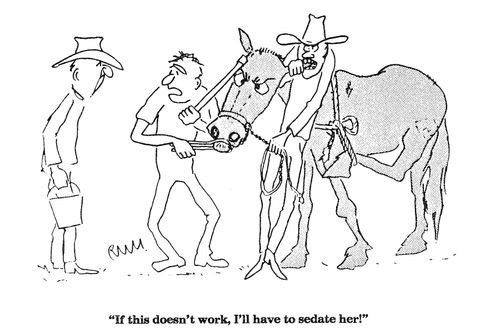 'If this doesn't work, I'll have to sedate her!'