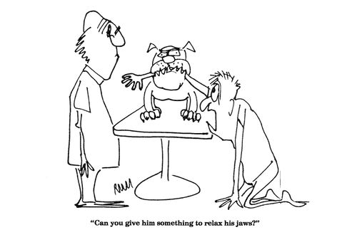 'Can you give him something to relax his jaws?'