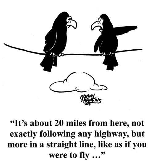 Crow to crow: 'It's about 20 miles from here, not exactly following any highway, but more in a straight line, like as if you were to fly ...'