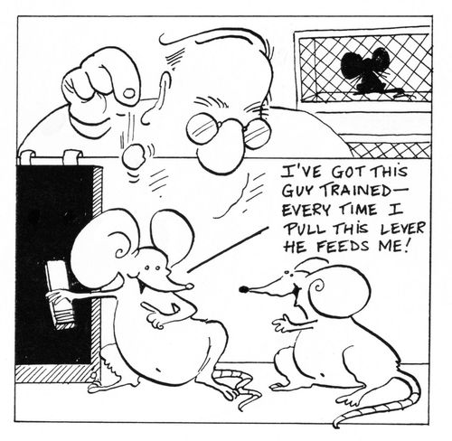 'I've got this guy trained - every time I pull this lever he feeds me!'