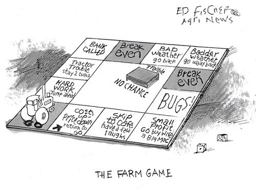The Farm Game