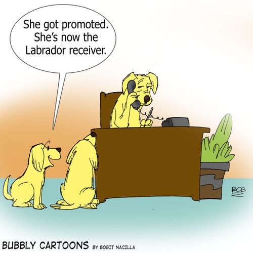 "She got promoted. She's now the Labrador receiver."