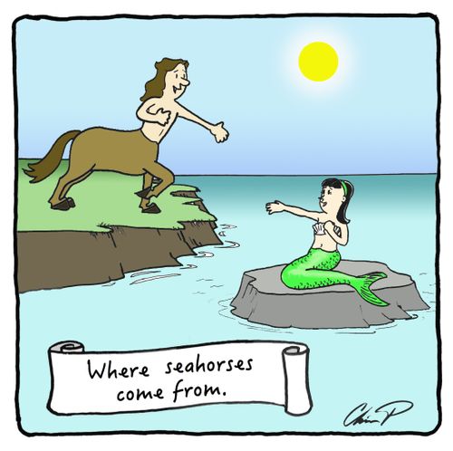 Where seahorses come from.