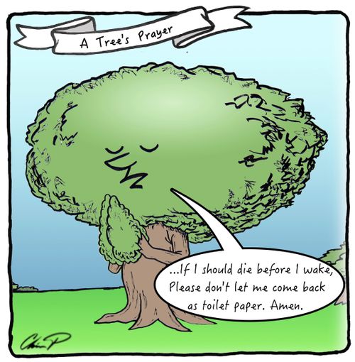 A Tree's Prayer: "...If I should die before I wake, Please don't let me come back as toilet paper. Amen."
