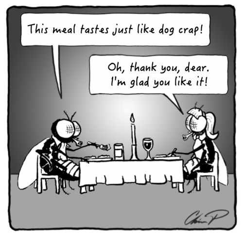 "This meal tastes just like dog crap!"