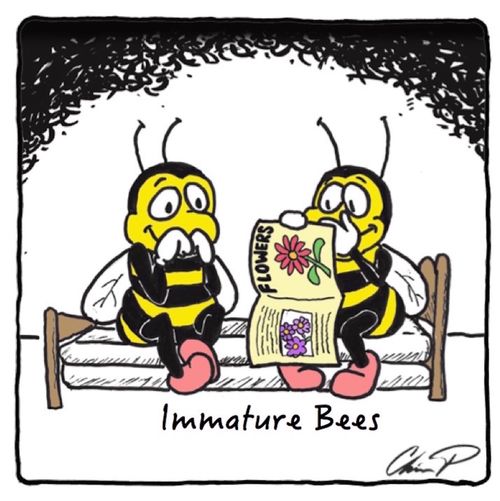 Immature Bees