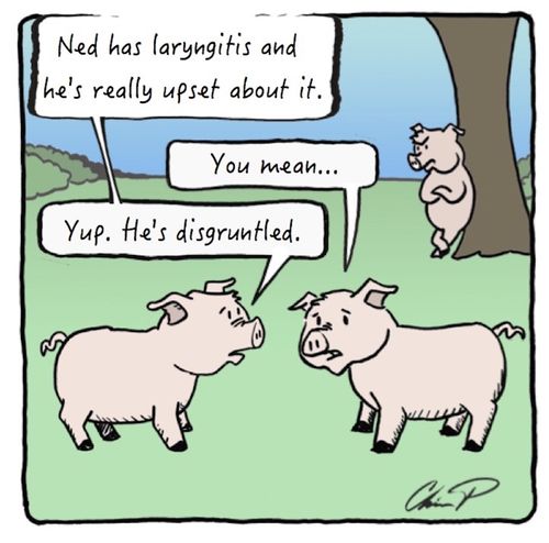 "Ned has laryngitis... He's disgruntled."