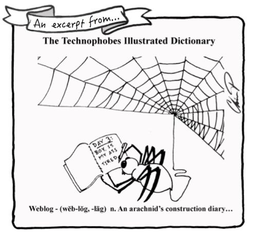 Technophobes Illustrated Dictionary: Weblog - An arachnid construction diary...