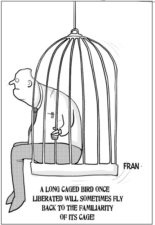 A long caged bird once liberated will sometimes fly back to the familiarity of its cage!