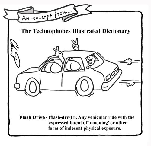 Technophobes Illustrated Dictionary - Flash Drive - Any vehicular ride with the expressed intent of 'mooning' or other form of indecent physical exposure.