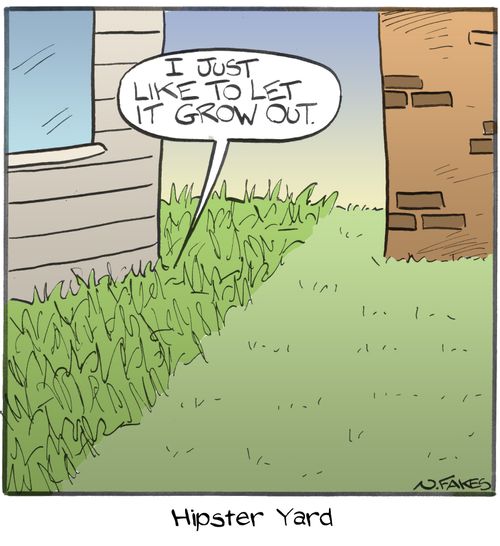 Hipster Yard