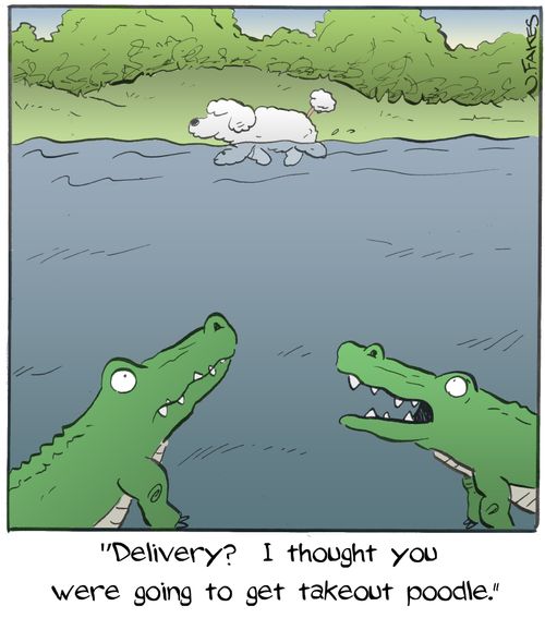 "Delivery? I thought you were going to get takeout poodle."